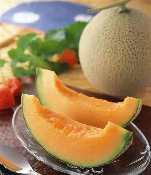 吃金香玉哈密瓜,舌尖上的甜蜜诱惑 第3张 吃金香玉哈密瓜,舌尖上的甜蜜诱惑 第3张